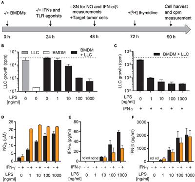 Both Type I and Type II Interferons Can Activate Antitumor M1 Macrophages When Combined With <mark class="highlighted">TLR Stimulation</mark>